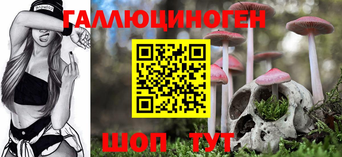 магазин    Вход с VPN  Луховицы  Галлюциногенные грибы GOLDEN TEACHER  Галлюциногенные грибы прущие грибы 
